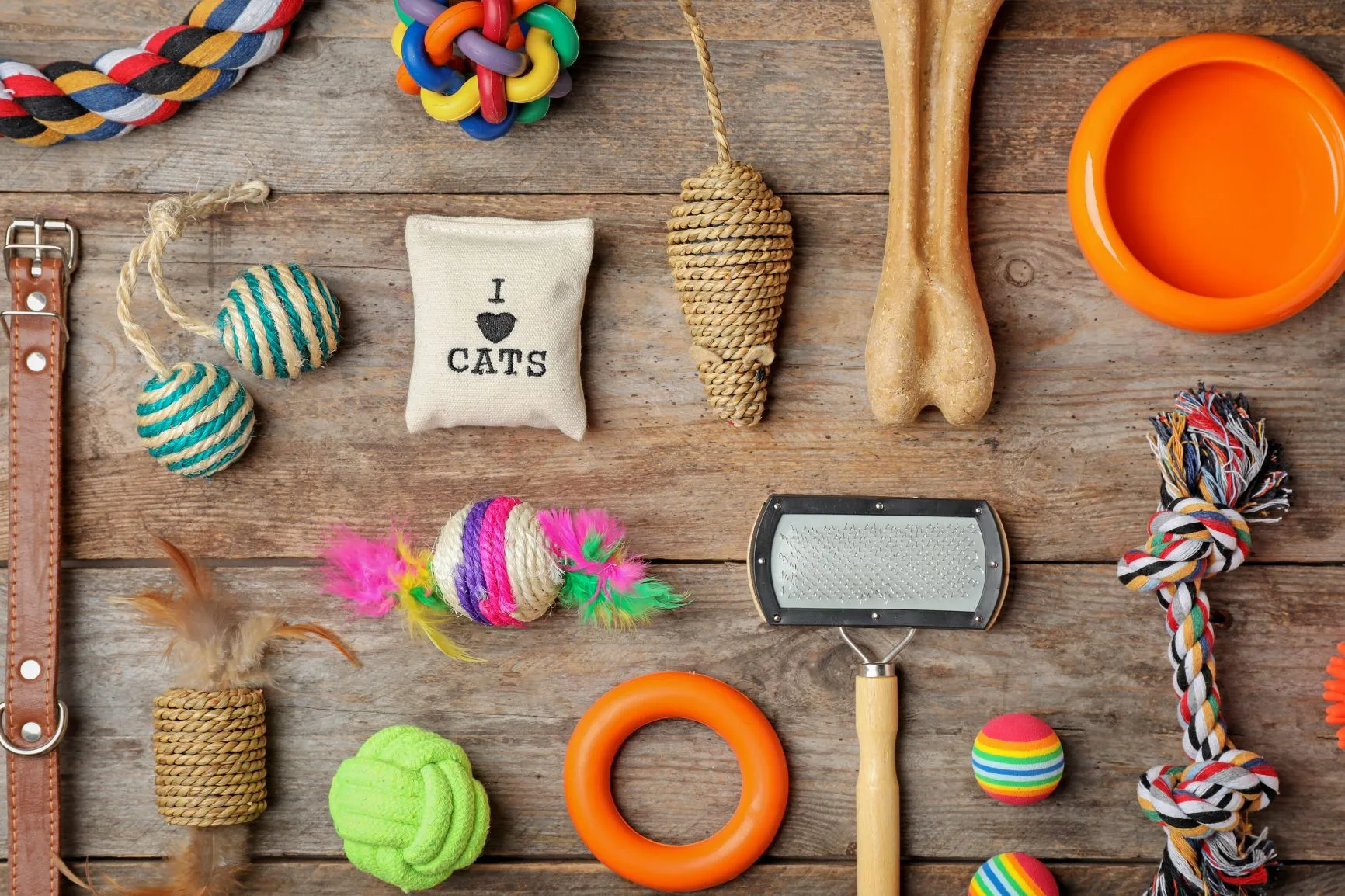 Utensilien f&uuml;r Urlaubsbetreuung ihrer Katze.