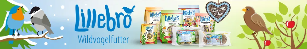 Lillebro Season 2020