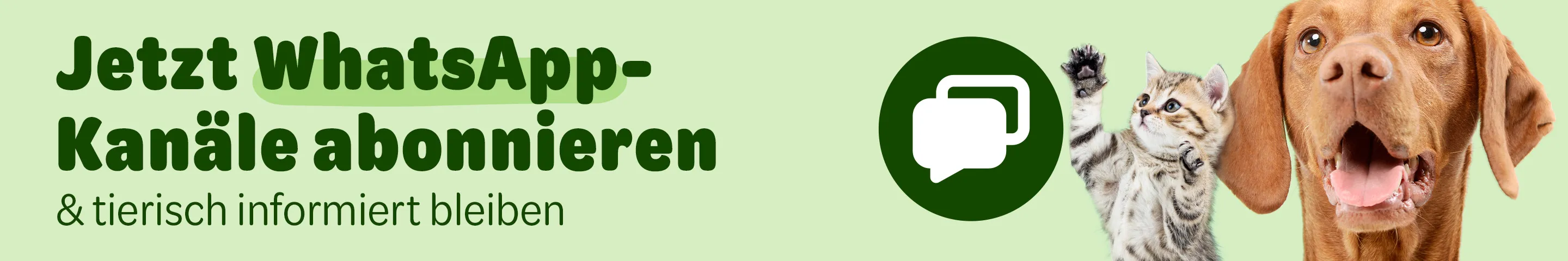 zooplus WhatsApp-Kanal